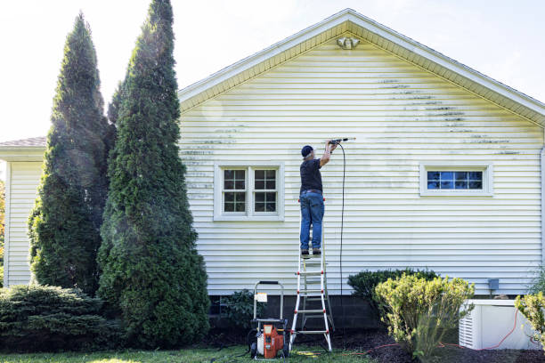 Best Warehouse Cleaning  in Sherman, IL